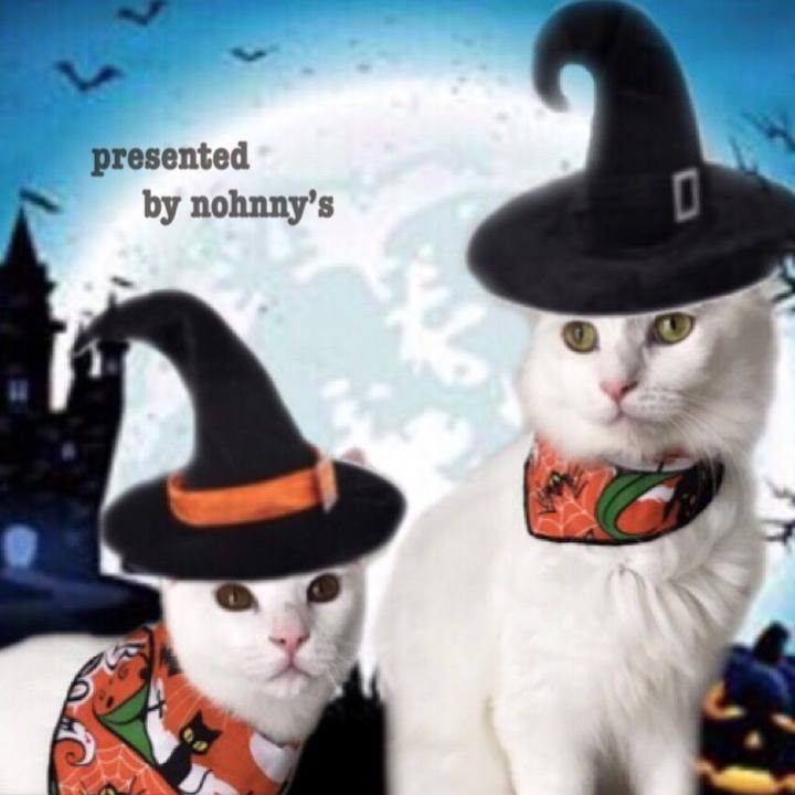 5caee8e0 dda0 461c 9251 b9205d9e0a84 1572447695660