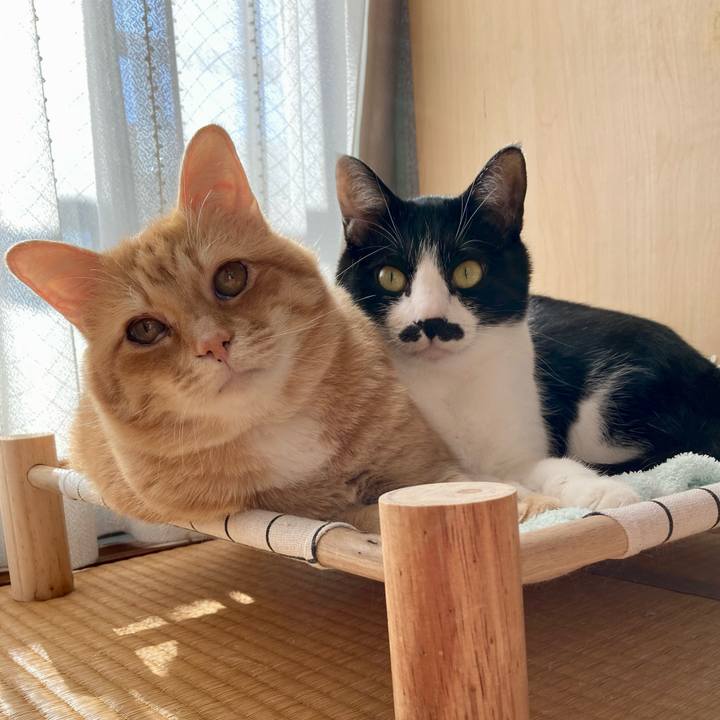 5caef2c8 50dd 4aa6 ae5b e2df2f8fcb17 1765073474093