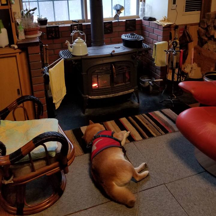 5caefe7a 9d9f 4f1c bee3 56f8ae3b660a 1552691400687