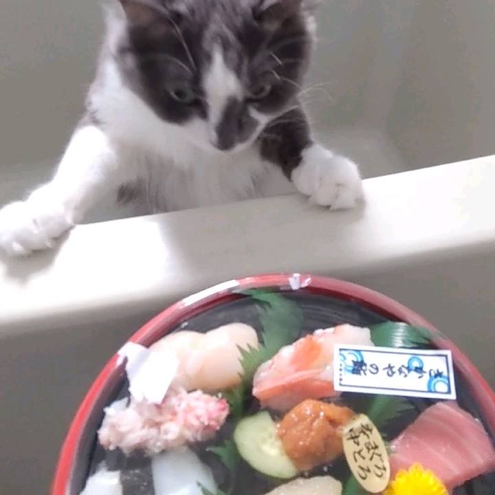 5caf2dcd c89c 4823 80ce 29345228d2d5 1696322442344