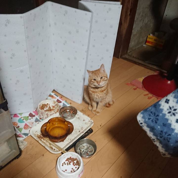 5caf6c27 6fe4 4b34 9a80 2a7a00853493 1645911202524