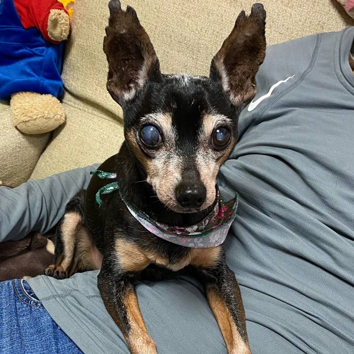 5caf71e2 7a71 4fa7 ad3e ffe918996e59 1581240947901