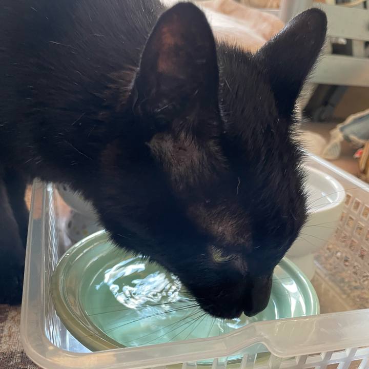 5caf7c97 6904 4795 8007 2bc087e0914a 1653270459470