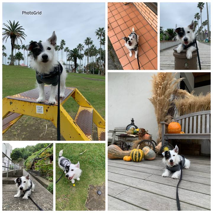 5cafa012 e71c 4f25 a774 b850b5467b9f 1729905371095