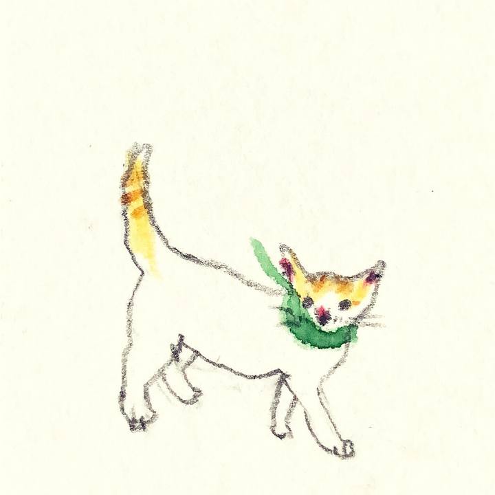 5cafab19 7fdc 4086 9b8c 3a88e2bcf985 1639488106132