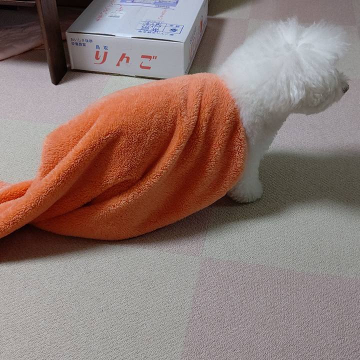 5cafcdc7 c73b 4deb 8328 a7660c9ba16f 1573031519593