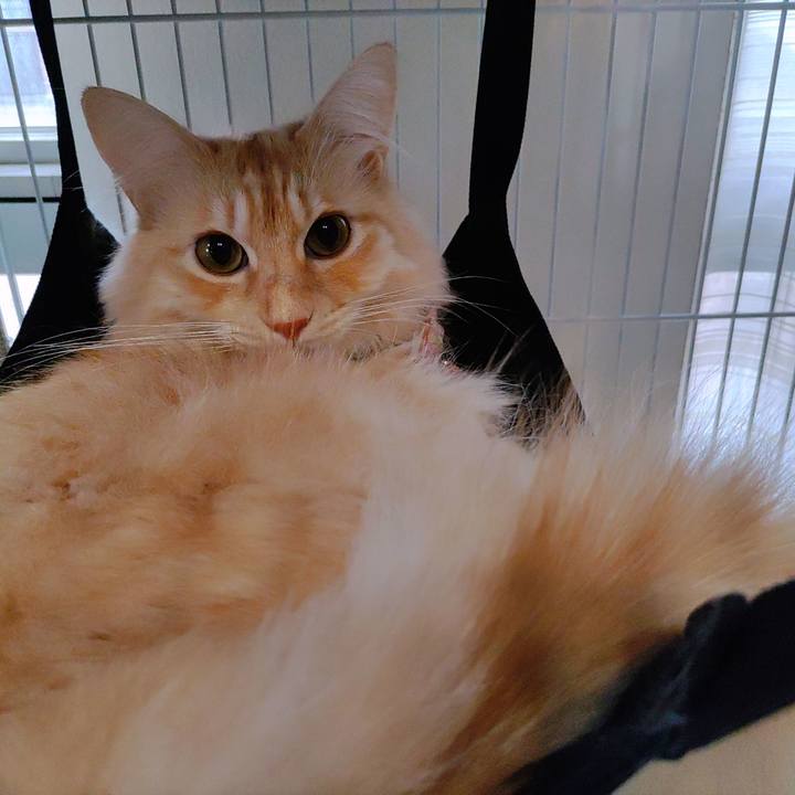 5caff903 d7db 4a7b 9de5 e221ffbc056f 1694225465655