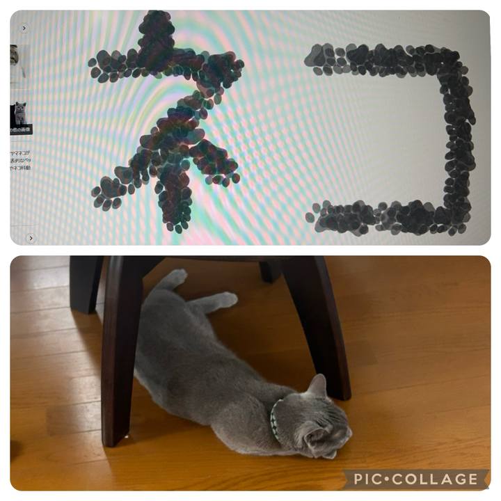 5cb00c69 24e0 4903 8fbb 107589ceeb03 1720337521285