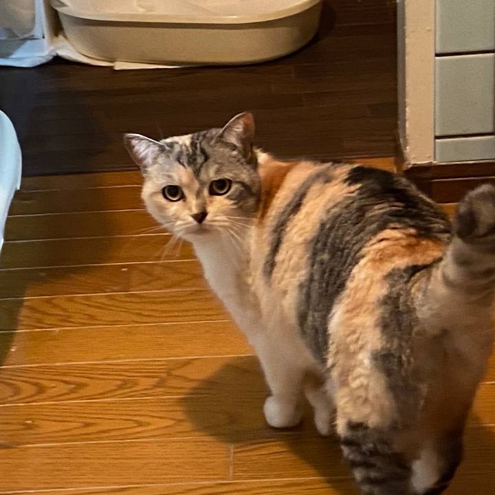 5cb02ce6 8209 4958 bcfd ff897e0cab82 1590143332338