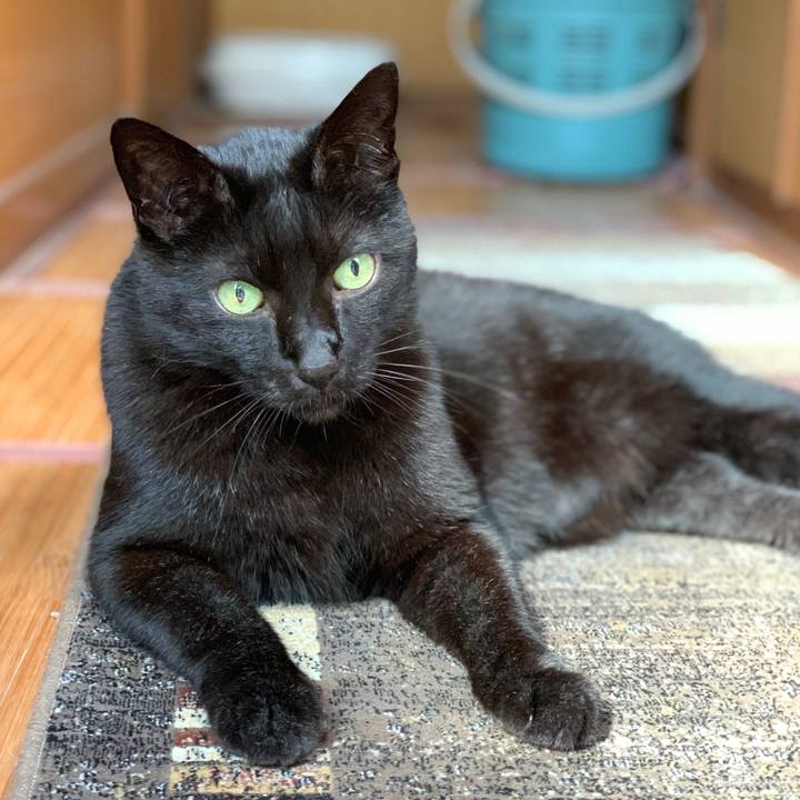 5cb03dde e0ff 44a4 b953 9bc5fad02299 1588295158920