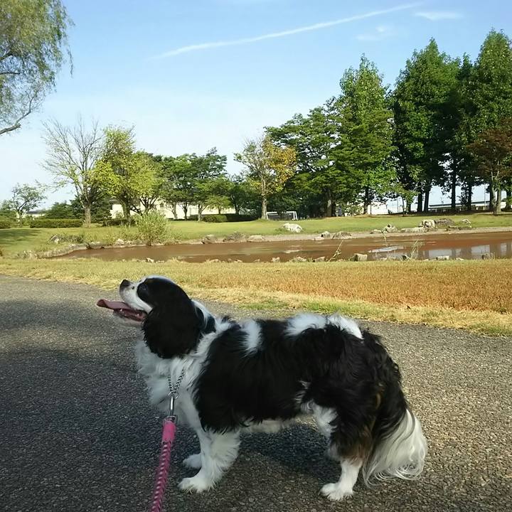 5cb078d6 8806 4b39 b4a2 55c0fda1a57b 1534635779308