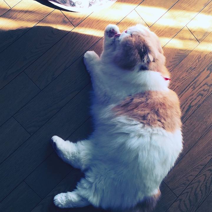 5cb099a6 f0bb 43fa a340 9db43e00607b 1543590841149