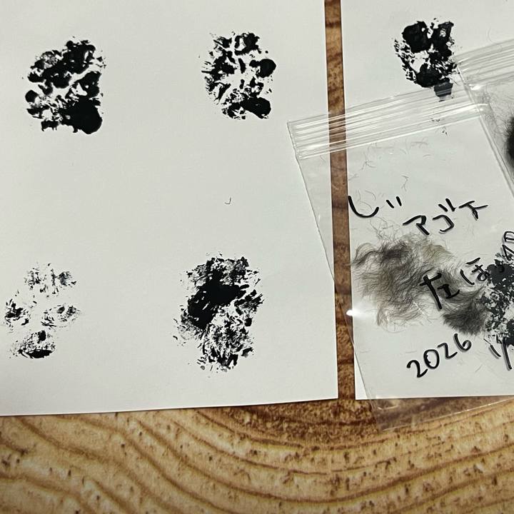 5cb09f2f c9dd 4823 b44b d6f7b74e95b9 1767512628386