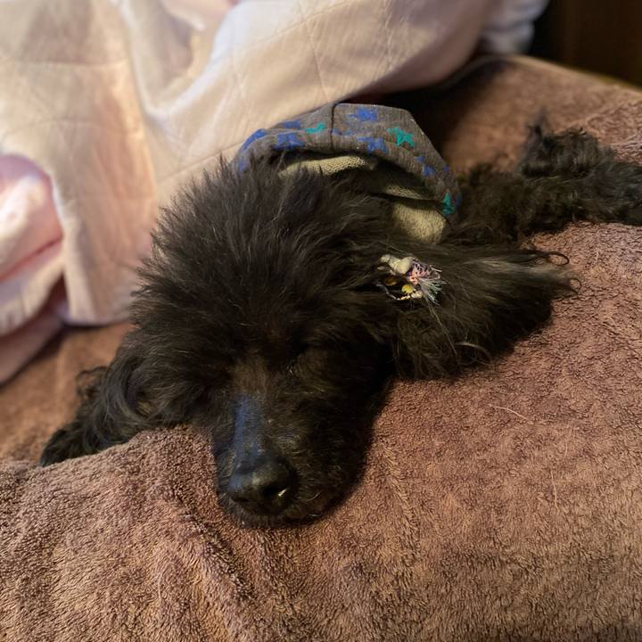 5cb0a201 a104 42b5 8810 d9adba6de37f 1612743534511