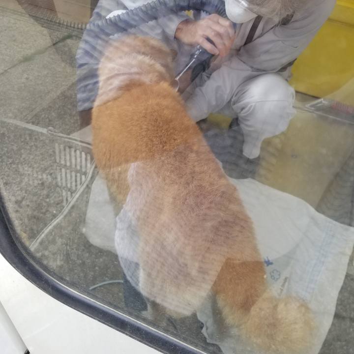 5cb0a47b c503 42f1 93bd b59c961f588c 1721091267323