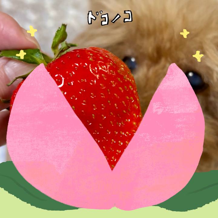 5cb0b261 a482 4feb 89b6 5af000cd133e 1772284720080