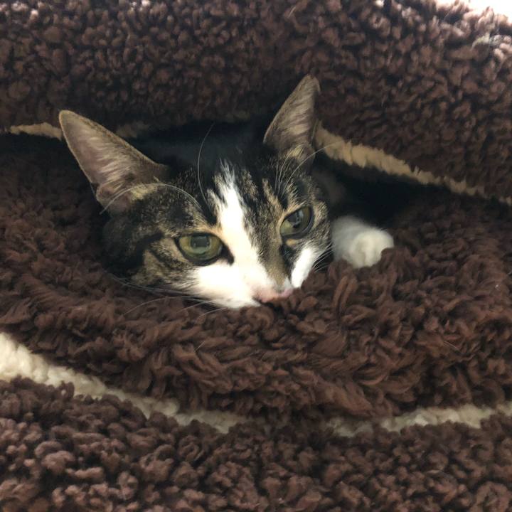 5cb0c8c3 90ee 4c30 a845 5ebd084ba154 1608642974825