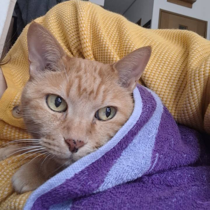 5cb0d8d6 afda 4e2e 8709 183a839c5891 1742084851604