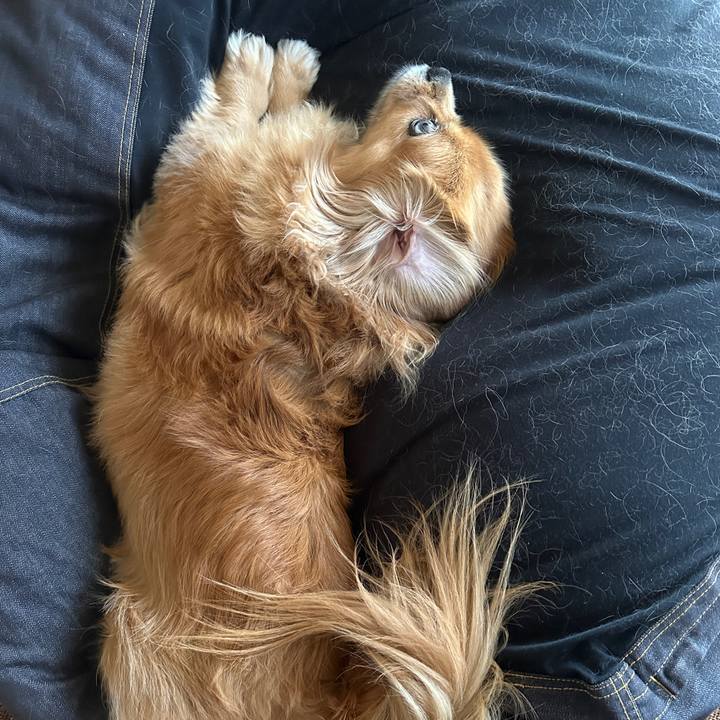 5cb10bf7 5b59 4330 bbe1 a792e358d2b9 1718512983850