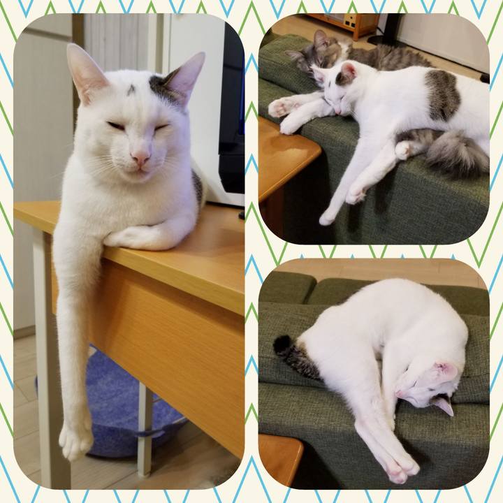 5cb1485e f430 4c0f 9814 13cc45299eae 1540650874788