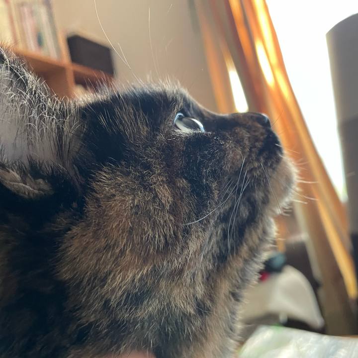 5cb14a72 70ca 416f a71e 1b843f6a5036 1673274501896