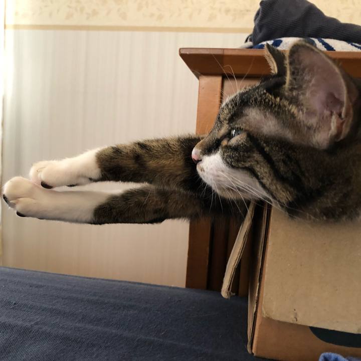 5cb15728 35bd 44fa a557 c4952893e4a5 1534796220429