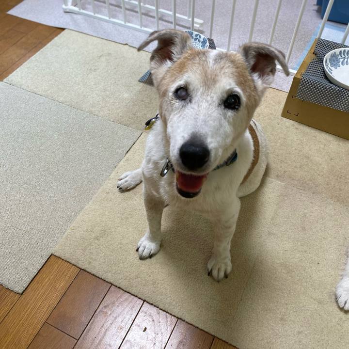 5cb15d01 1494 450d abff 274ef8f418ff 1688770618932