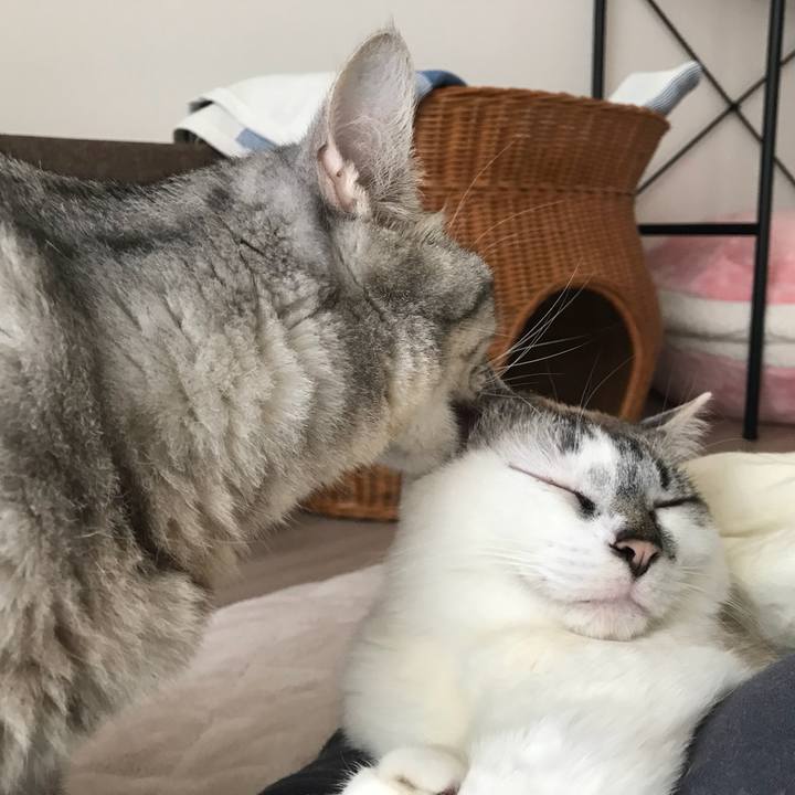 5cb17ef5 43a8 4f8d 9201 8590c0e80ec9 1525269732075