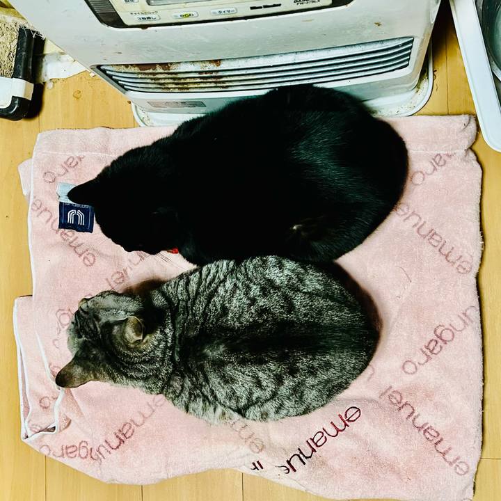 5cb18386 4451 4d46 aae4 fc553a3ae78a 1769378172668