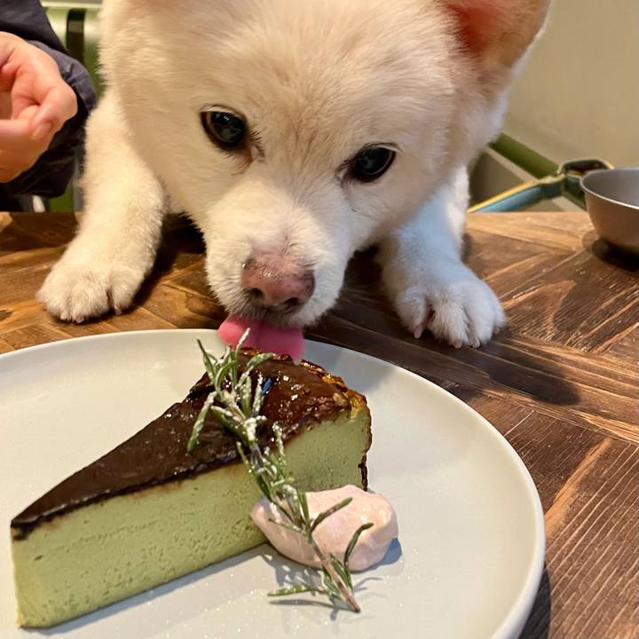 5cb1b725 9f9d 4c8d b3ac d67a31479a8c 1757850733766