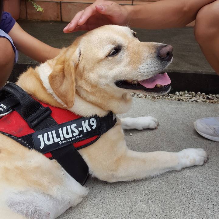 5cb1da97 6dd6 475e b12e a53f3ee4b8ab 1593840092651