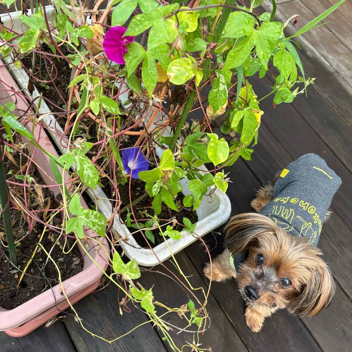 5cb201be 8537 4104 95e4 57f2727c181d 1727300927859