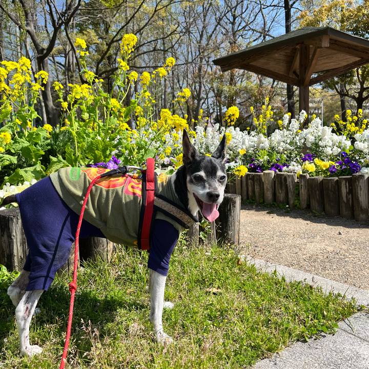 5cb2027c decb 4d78 bb69 ac9bbab96bcd 1649470886639