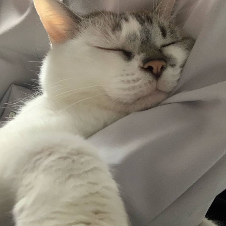 5cb22bd4 c146 4718 9e00 900cb223b1df 1666261097532