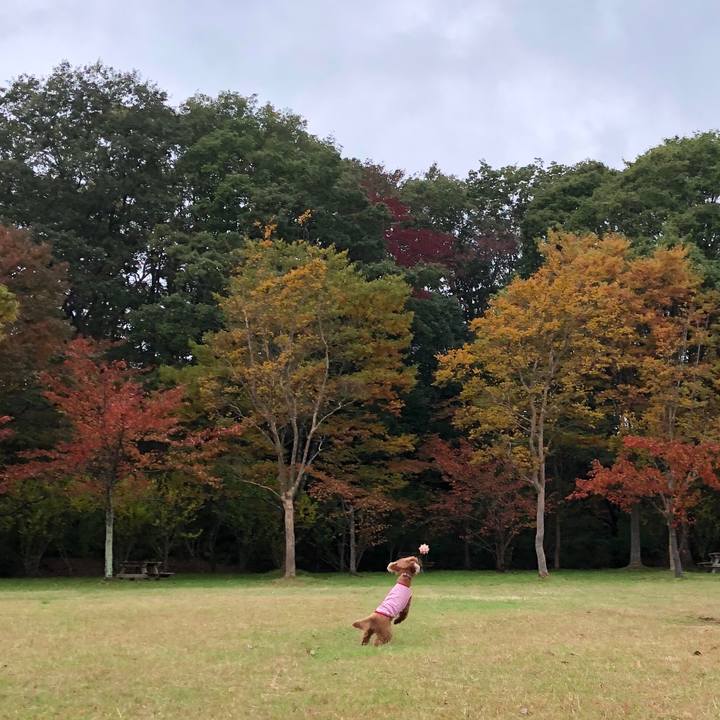 5cb22ee7 db0d 42b0 ac66 aa9fda58bde7 1572215129414