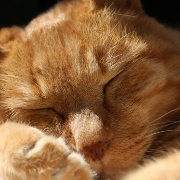 5cb231eb 3dec 4cc0 a132 46a66775ebfd 1574861664081