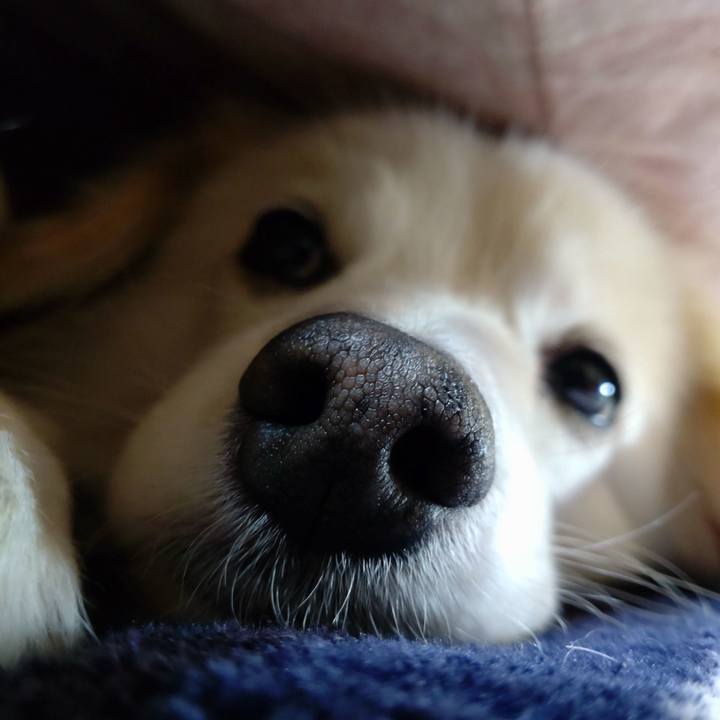 5cb237b9 3a5a 4e10 abd8 d8d4aa272184 1641503374237