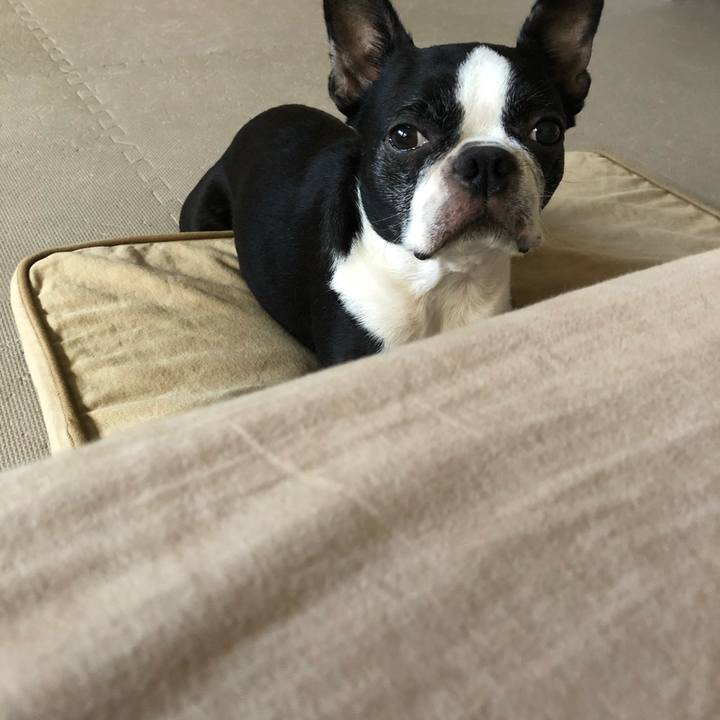 5cb2b446 a5de 4739 b20b 7539d8b24254 1663310429119