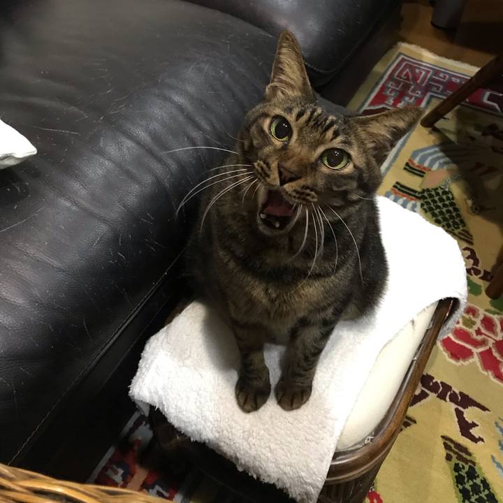 5cb2c9ab be68 4b54 9e98 01e9531b41e1 1608457384093