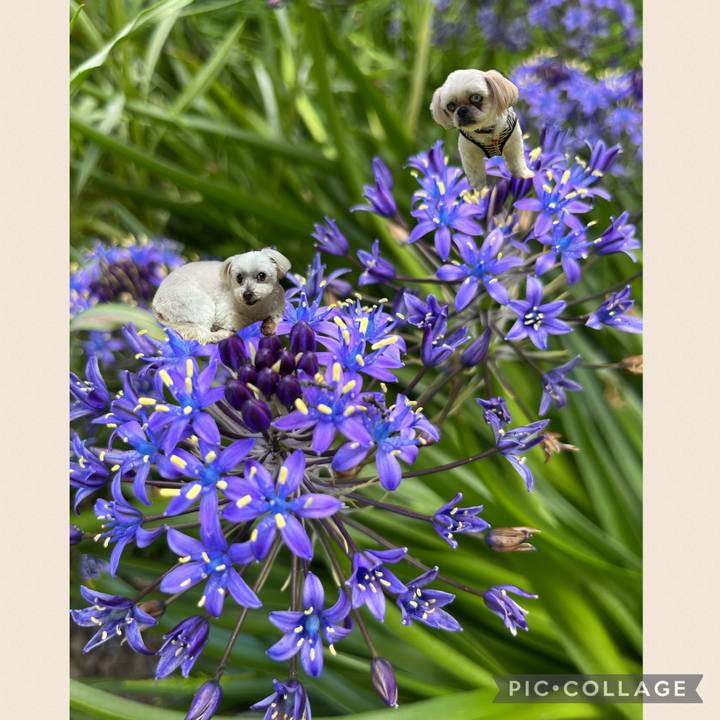 5cb2f0f1 a062 452f 9e1e 1b59ae28e8e6 1714466165423