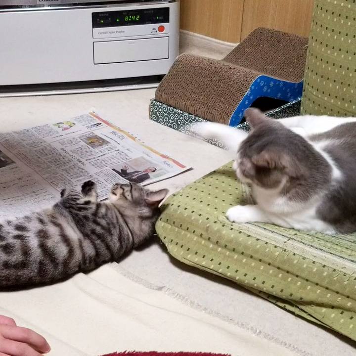 5cb34340 d4be 490c a2f6 091c52de785f 1674485773475