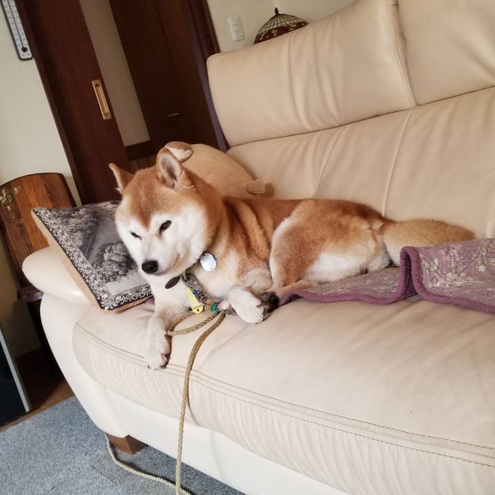 5cb35481 50f7 4fbf a289 3423bd161629 1633741868763