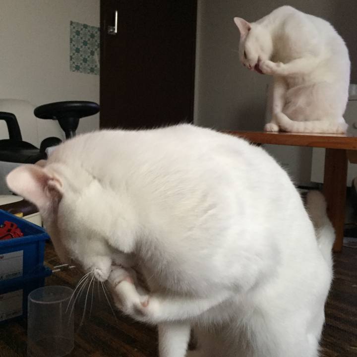 5cb36187 e295 4c55 b6e0 8f0b7e9ff2a2 1510288021472