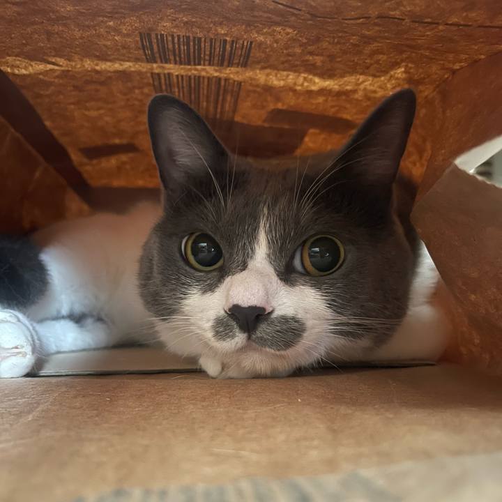 5cb369ac 7884 48f4 aa5c 0219a02bf78e 1727483386293