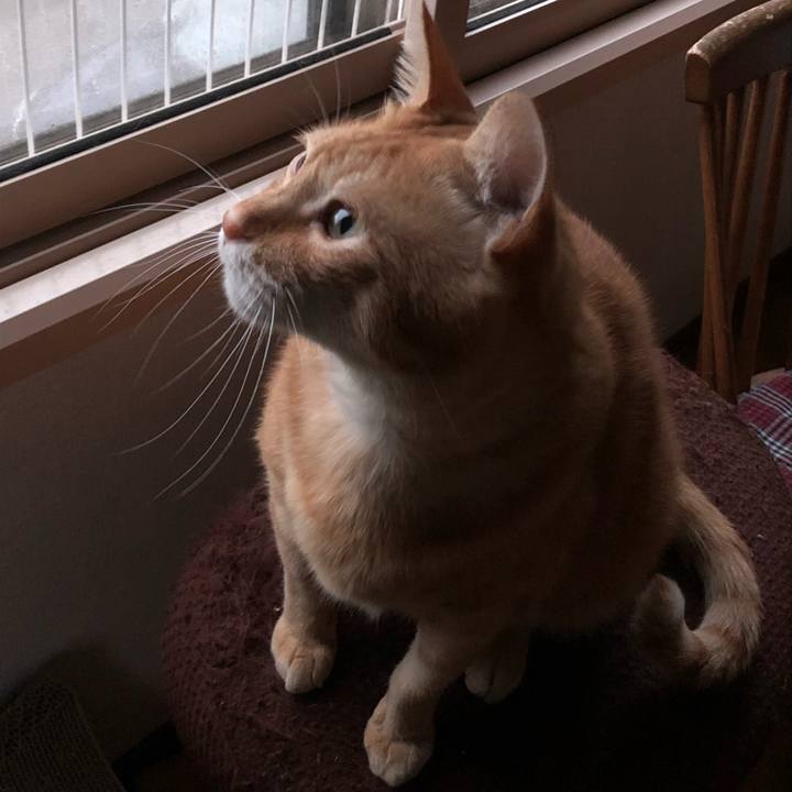 5cb378cd 5d22 46a6 9831 3a2f225faed7 1600159531313