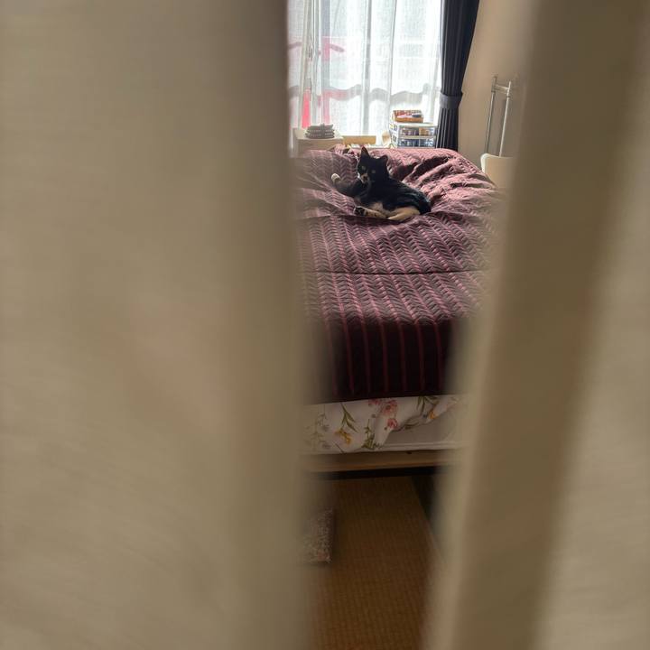 5cb39959 8358 4969 952f 9cf196ad1ef9 1767099267991