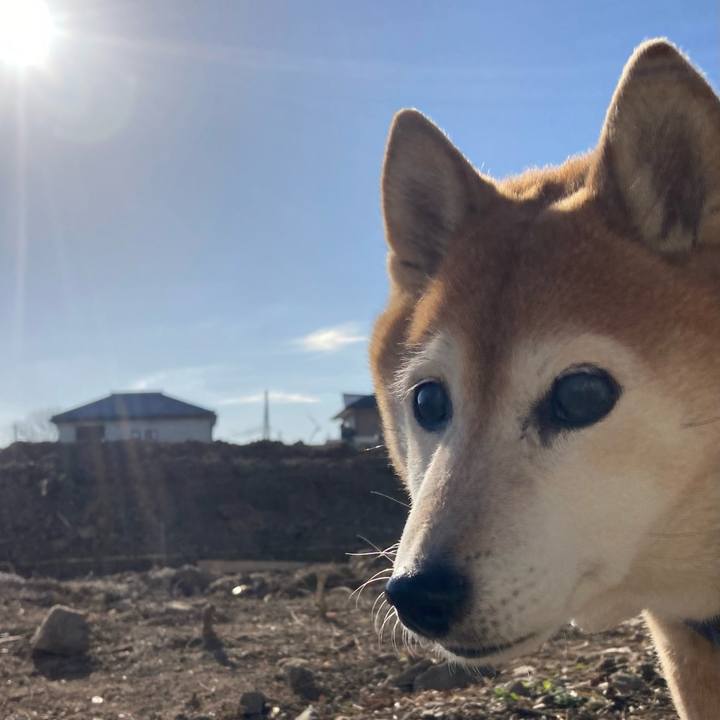 5cb3b1b9 a1c4 4164 a524 a5d8f3287c87 1739579465766