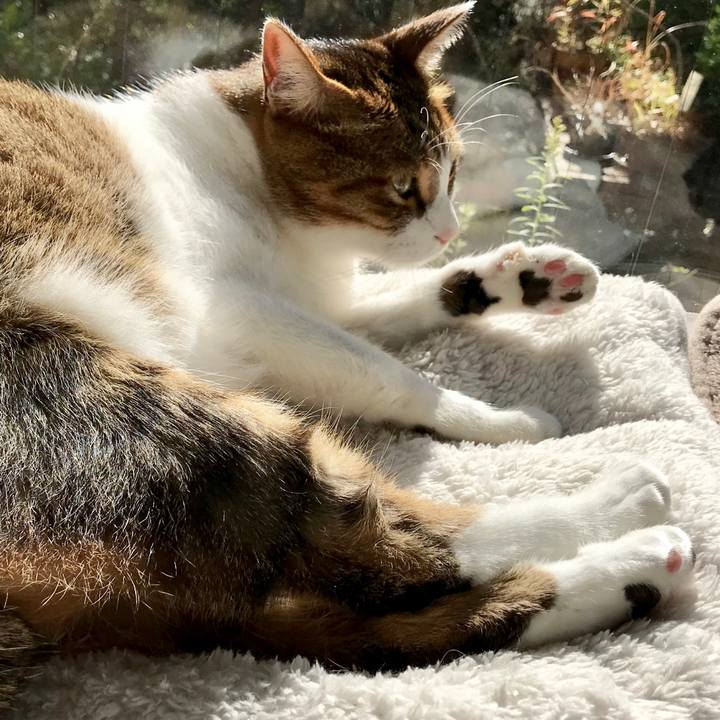 5cb3b570 650f 493c a56c 0b82cab36186 1511668380318