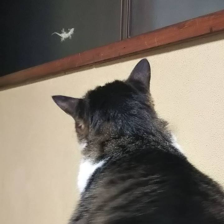 5cb3c9a9 7ef9 49ca bcbd d376d3571471 1627991235254