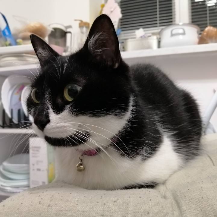 5cb3e2c3 28d5 4623 aca3 11e89cba0bd4 1584464629279